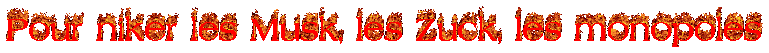 Pour niker les Musk, les Zuck, les monopoles